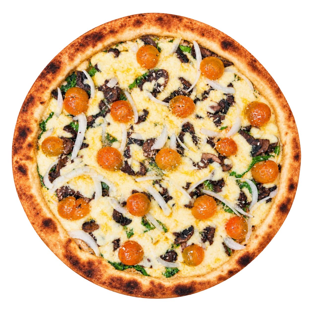 Pizza Boston de Toto's